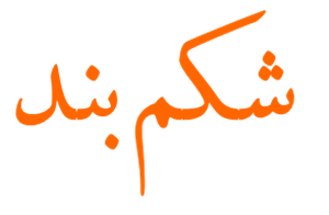 لوگوی شکم بند